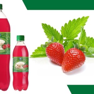 BBB SAIDER Fresa Menta 6x2L